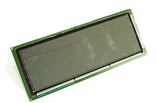 Large Display Suit Baywatch